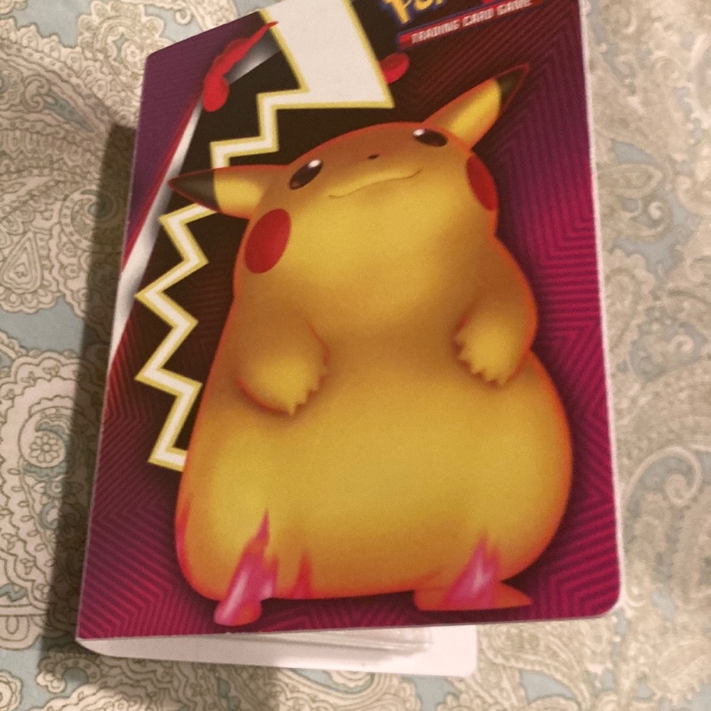 Pokémon binder